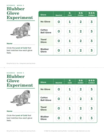 Blubber Glove Experiment